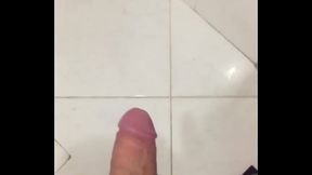 s&oacute_ pras piranhas