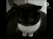 Silly midi jazz playlist