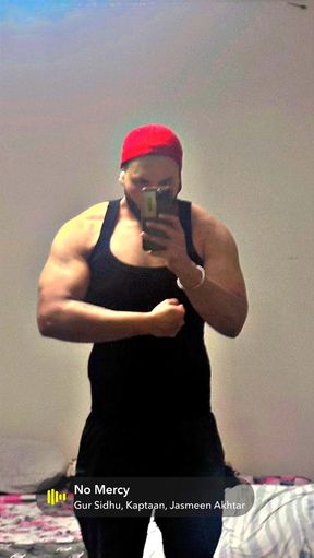 Punjabi bull