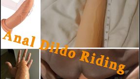 Anal Dildo Riding – Oiled Prostate Pounding
