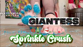 ASMR Giantess Sprinkle Crush Size 16 Feet Destruction