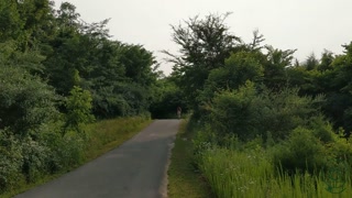 Custom Commission - Stripping in Public