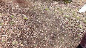 Red Tits by the Lake