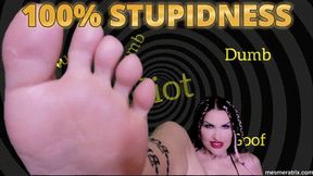 100% STUPIDNESS
