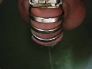 Man peeing sitting locked in chastity cage!