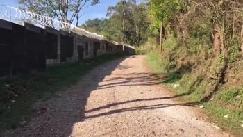 Duraznito21's Outdoor Adventure: Raw Passion in the Woods