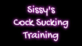 Sissy's Cock sucking Training
