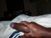 Guebo dominicano