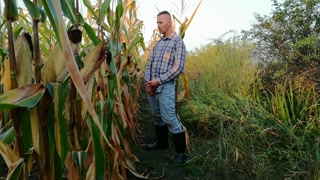 The farmer pees several times in different places in the field