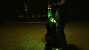 i will not give up fucking the insatiable 50 year old milfs