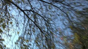 Street Fucker Wild Couch Poundings