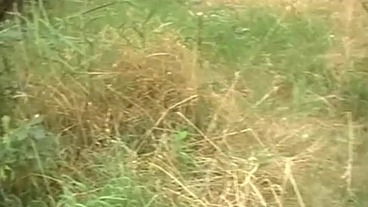 daddy masturbate his big dick on forest