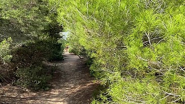 GayCruising Adventures Ibiza October '22