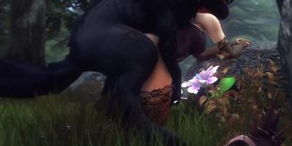 Assumi in the wood