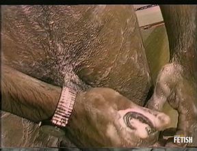 Horny gay likes to stroke his dick solo in the shower