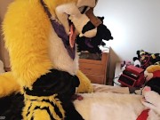 Fruity and Frisky Animals [Pineapple x Jamie]