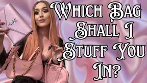 Which Bag Shall I Stuff You In?
