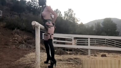 Solo pony play session in leather mask and harness out in the countryside