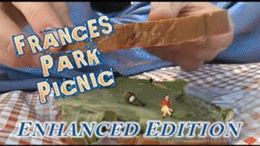 Frances Park Picnic - HD 1080p Version - Enhanced Edition