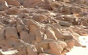 -01 snake in the desert
