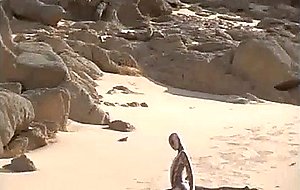 -01 snake in the desert