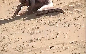 -01 snake in the desert