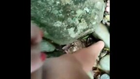 Mais esse fodedor insaciável que apelidei de el ogro !! segundo vídeo da