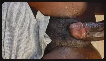 Nigerian Goddesses Get Wild Post-Interview Passion Play - African Porn