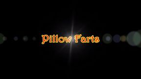 Pillow Farts - Facefarts, Farting, Solo Female, Jeans Fetish, Ass Fetish 720p