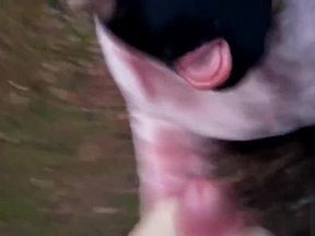 Masked Slut Give Head In The Woods