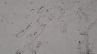 Female pissing in the snow in a public place - Lesbian_Illusion