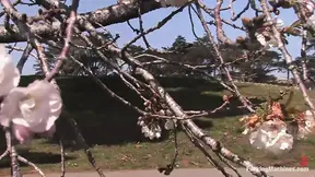 Curvy girl Melrose Foxx shags it hard and fast