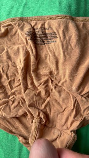 Cum on wife's panties 53