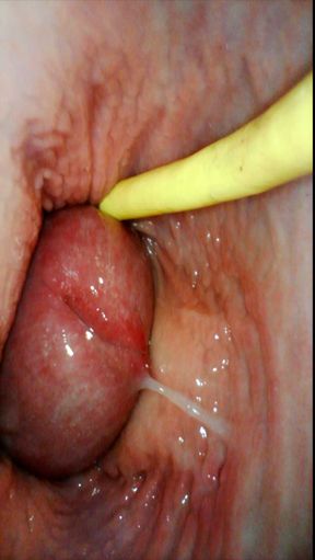 Servant girl do everything I say endoscope in pussy and creampie