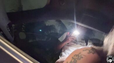 The college girl gets fucked in the backseat for Christmas