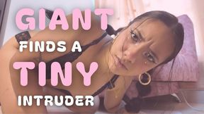 GIANT FINDS A TINY INTRUDER