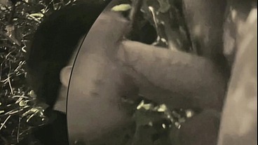 boy sucks a guy he found jerking-off in the street