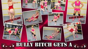 1368-Bully Bitch Get a Pro Style Lesson - Female Pro Wrestling