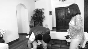 ”Juicy hottie Avery Black is tightened with Charles Dera's dick”