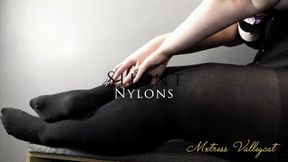 Silent Nylons (wmv)