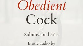 Obedient Cock