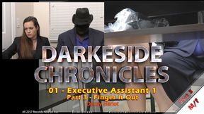 Darkeside Chronicles 01 - Executive Assistant 1 - Part 3