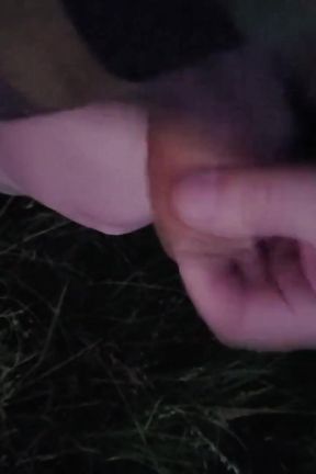 Nice Wank in the Park