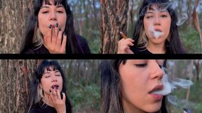 Smoking in the Secret Forest
