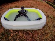 Rufus pawing off in wetsuit, fins and pool