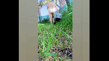 Zea812 - update #206 - 1000057132 - Jun 30, 2025