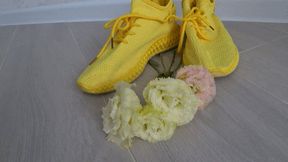 Crushed eustoma with yellow sneakers bb