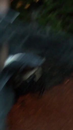 Cumshot in Public at Night