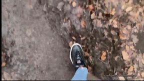 a walk in the forest with Fila Disruptor