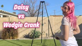 Daisy vs Wedgie Crank